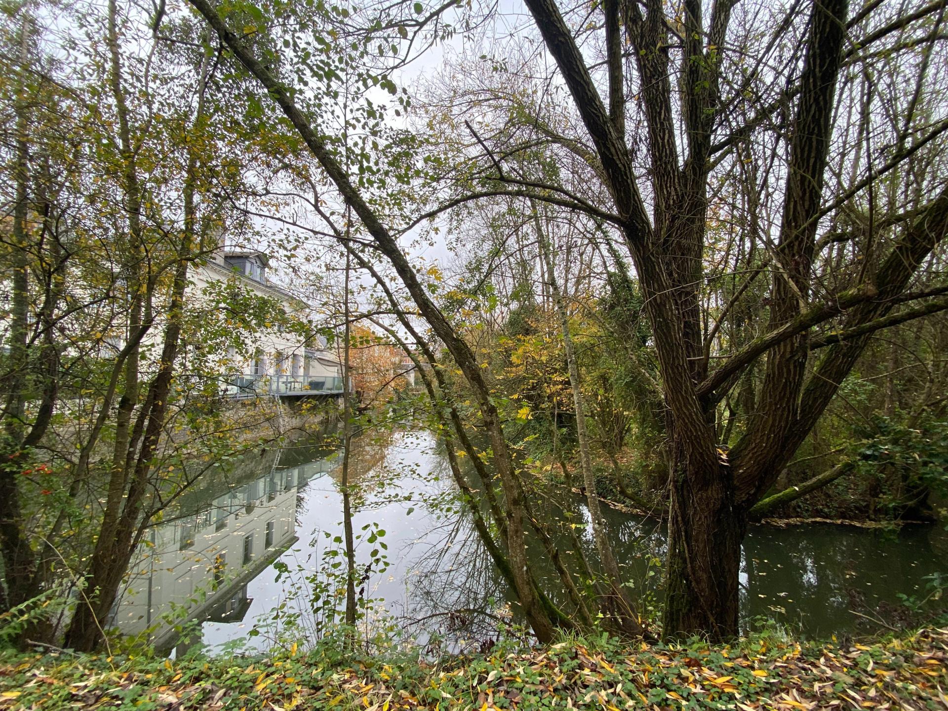 Photo 16 de l'annonce.