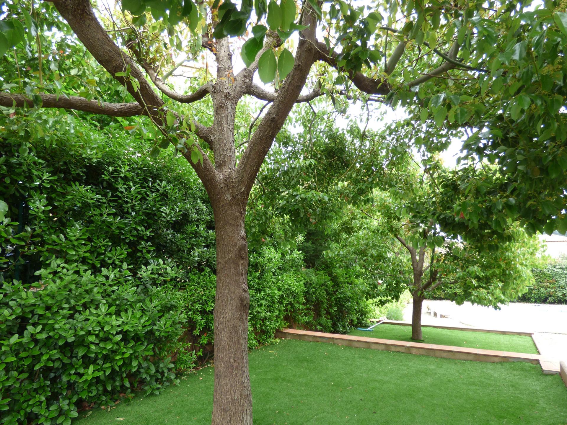 Photo 11 of the listing.