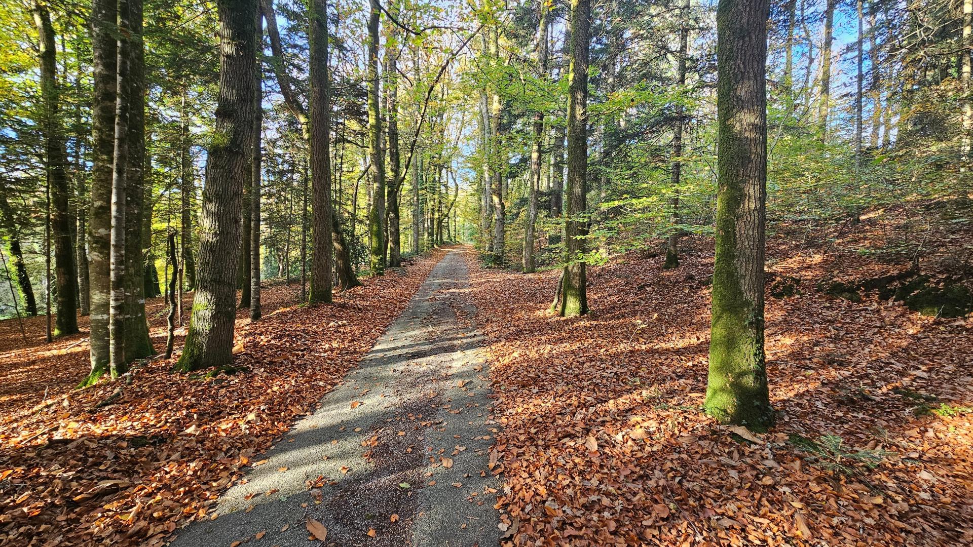 Photo 2 de l'annonce.