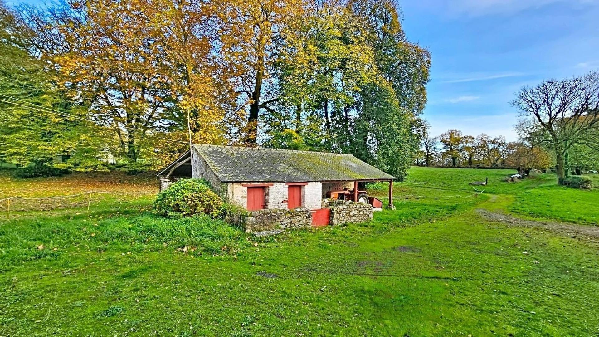 Photo 10 de l'annonce.