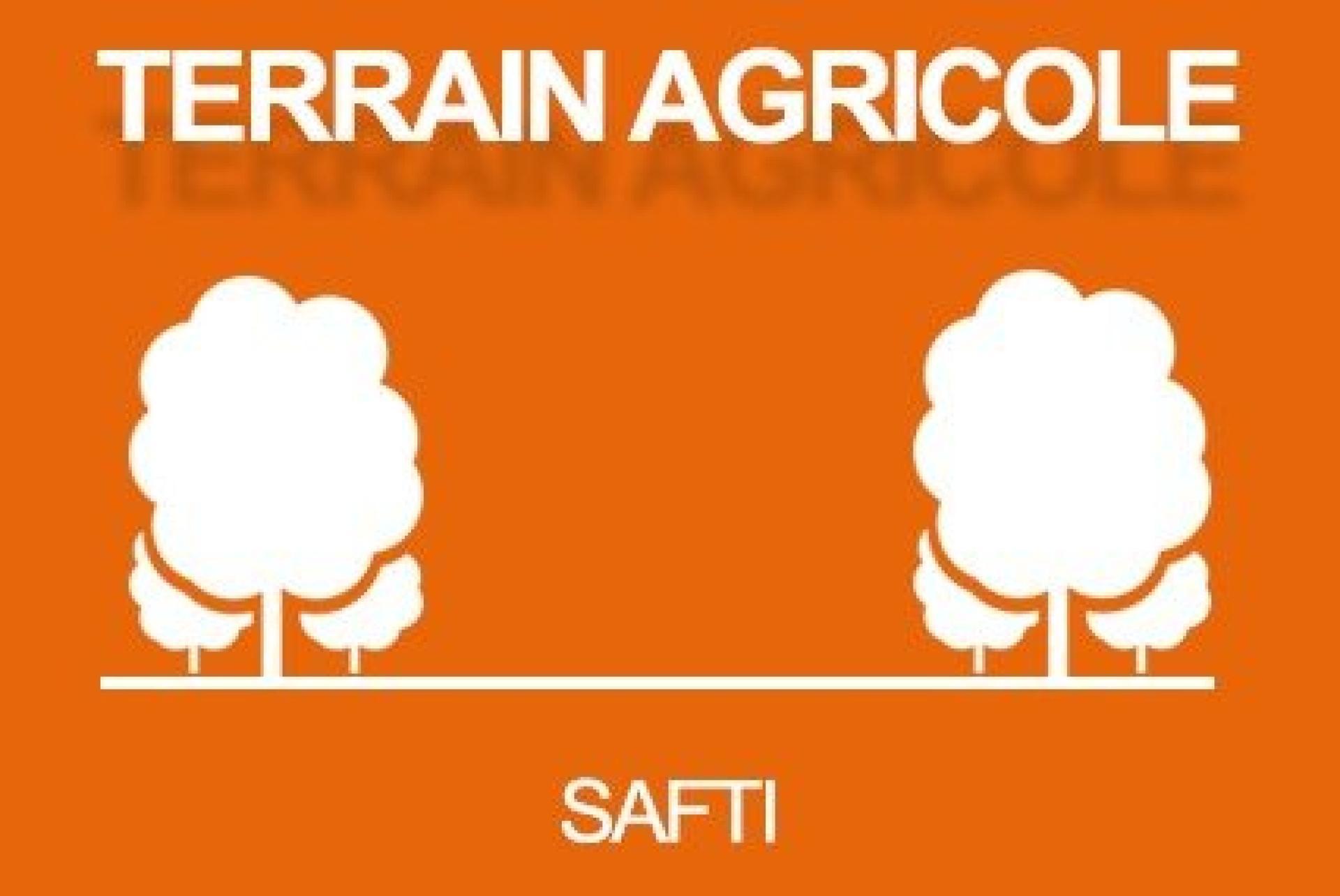 Terrain agricole Saint Plantaire
