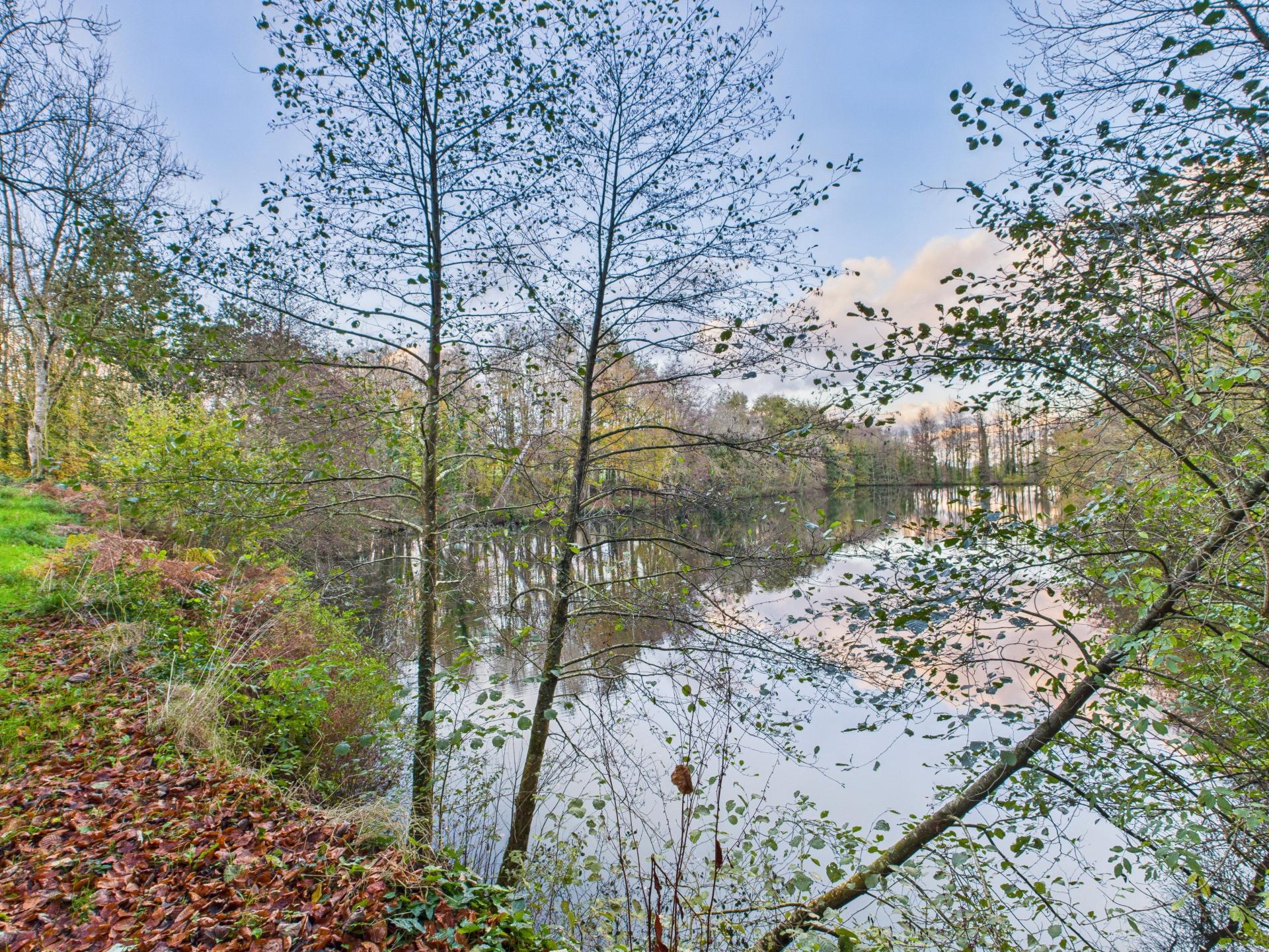 Photo 15 de l'annonce.