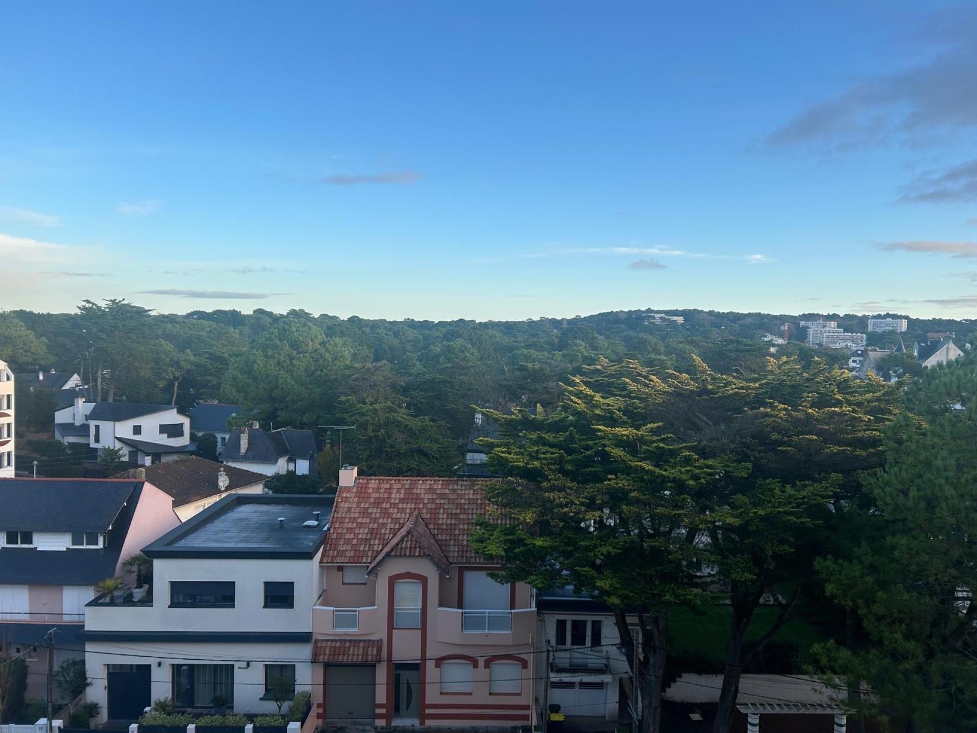 Photo 7 de l'annonce.