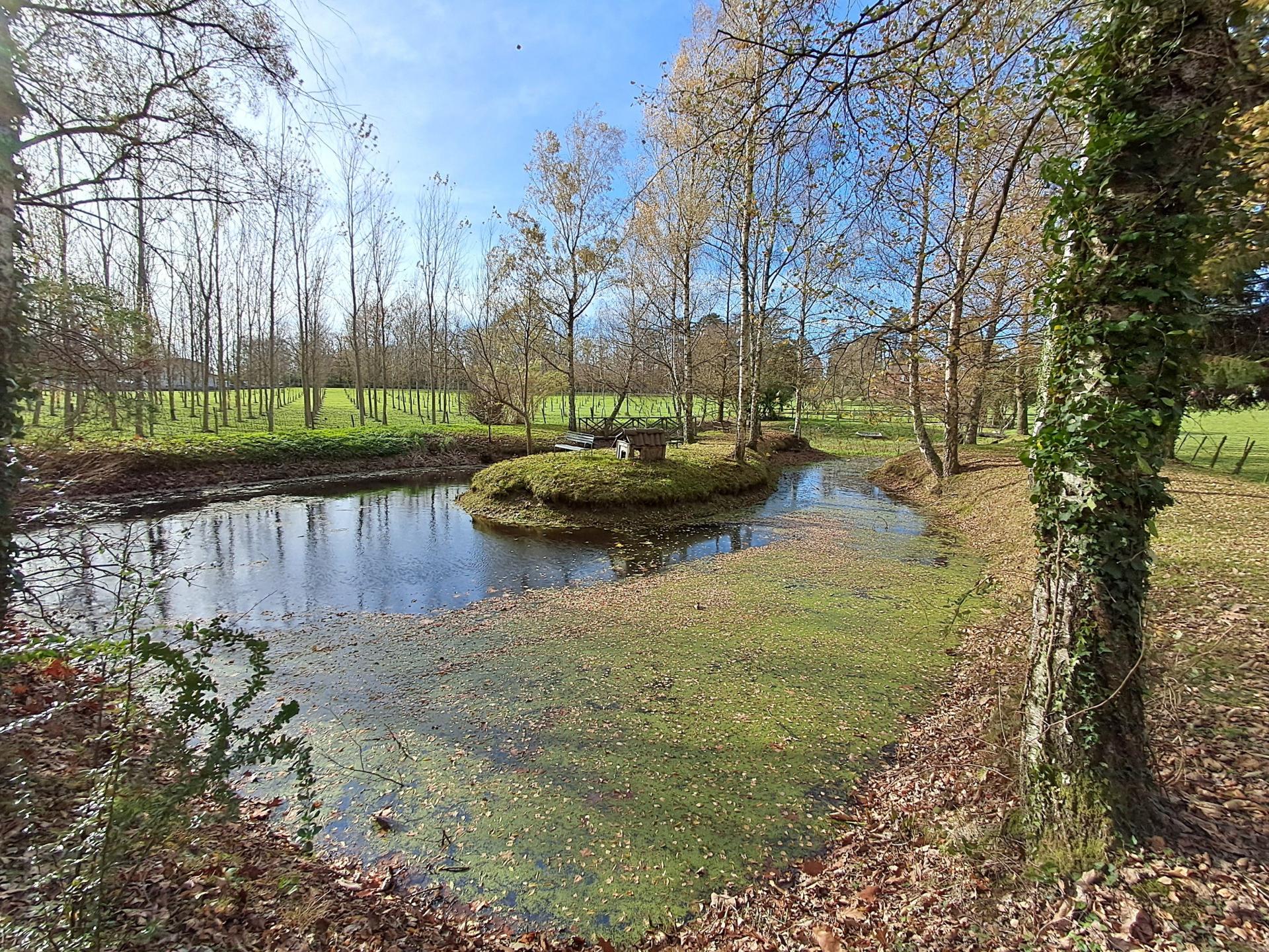 Photo 7 de l'annonce.