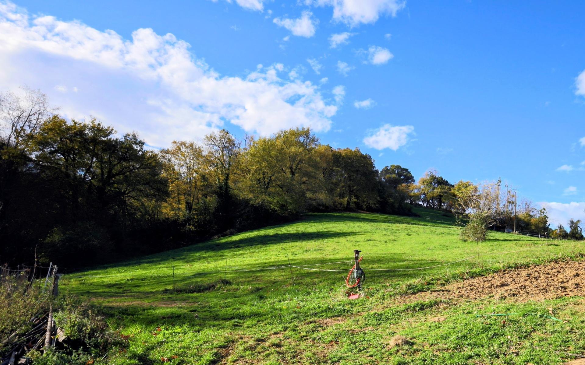 Photo 4 de l'annonce.