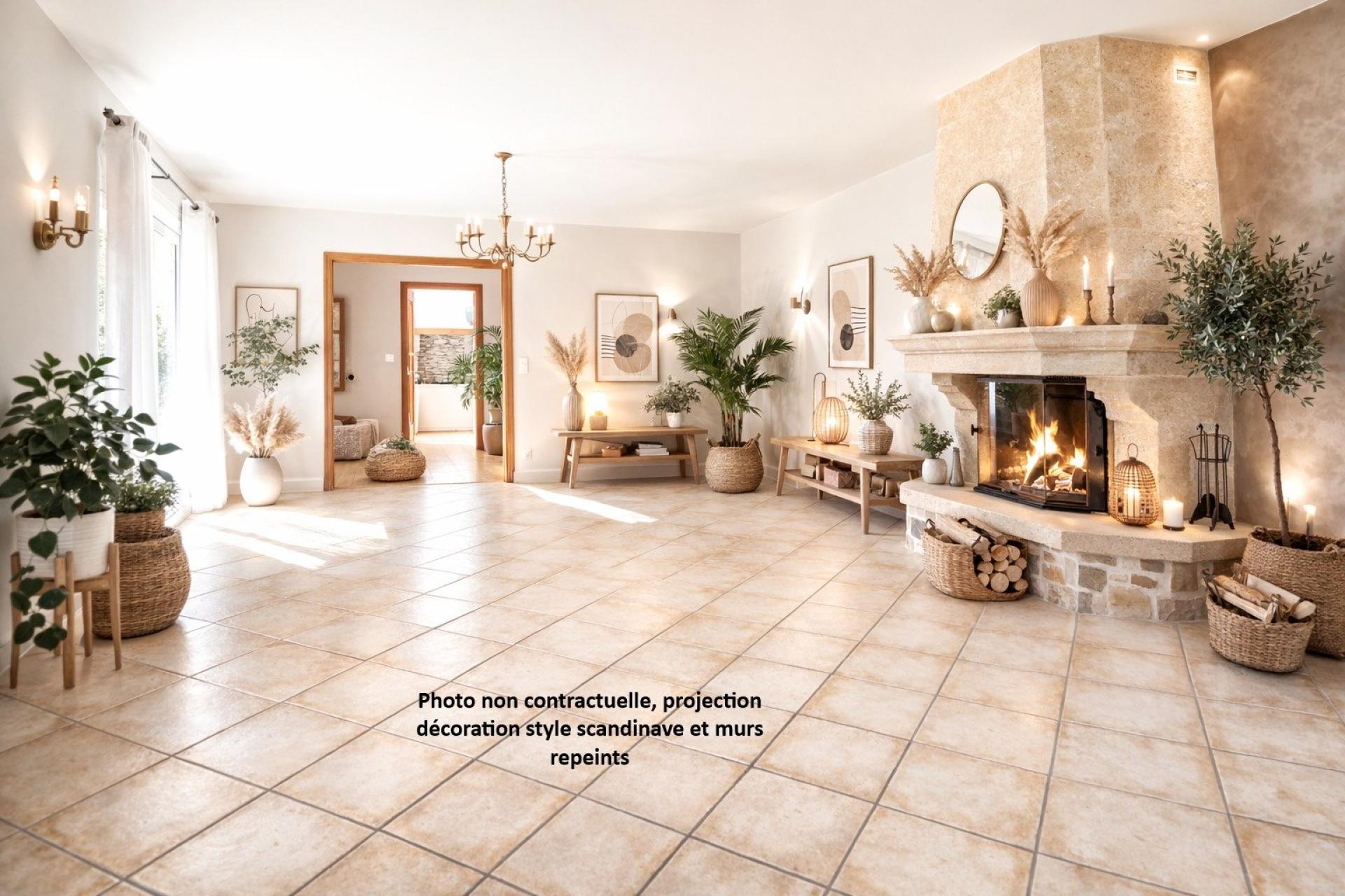 Photo 2 de l'annonce.