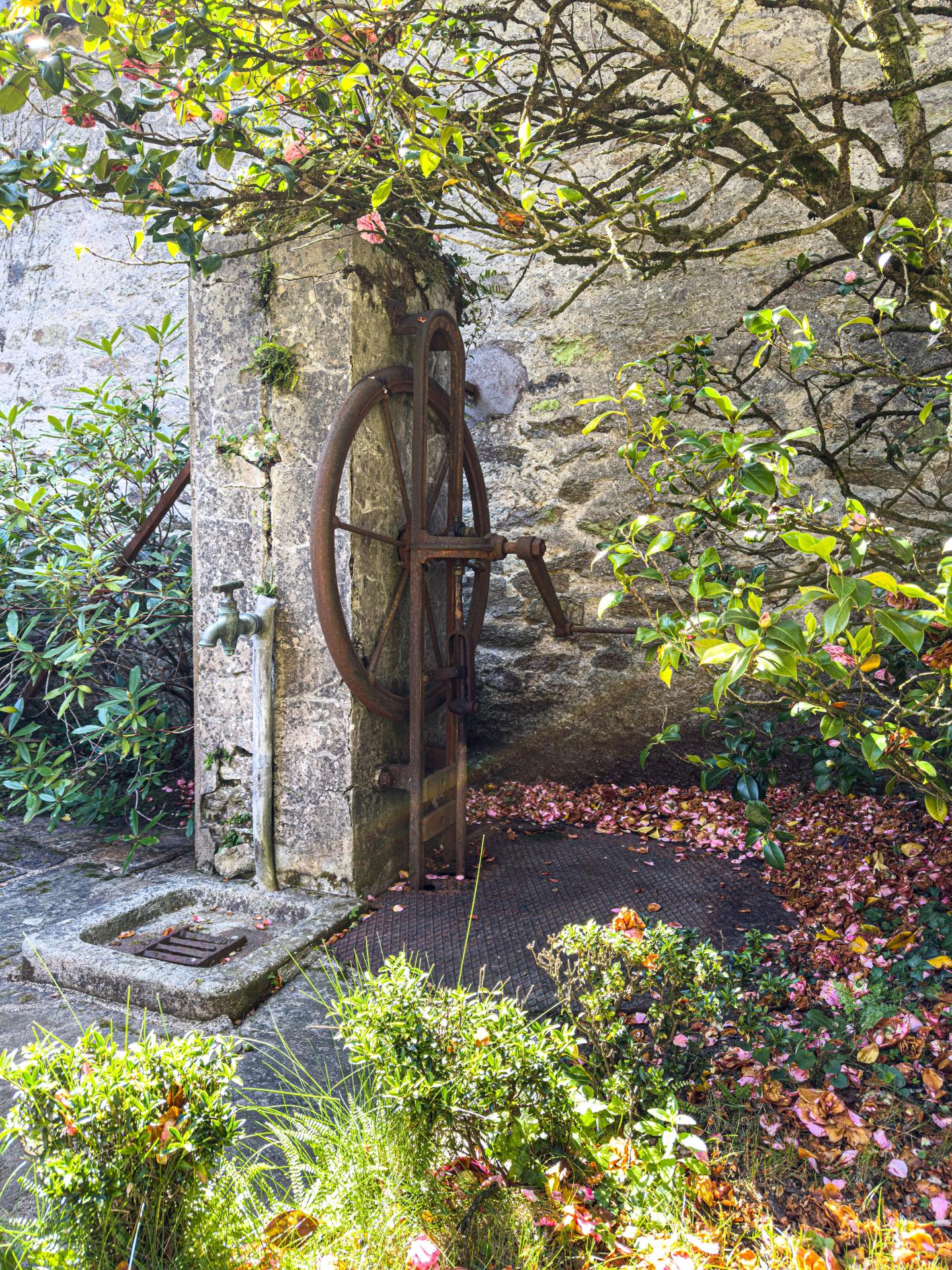 Photo 13 de l'annonce.