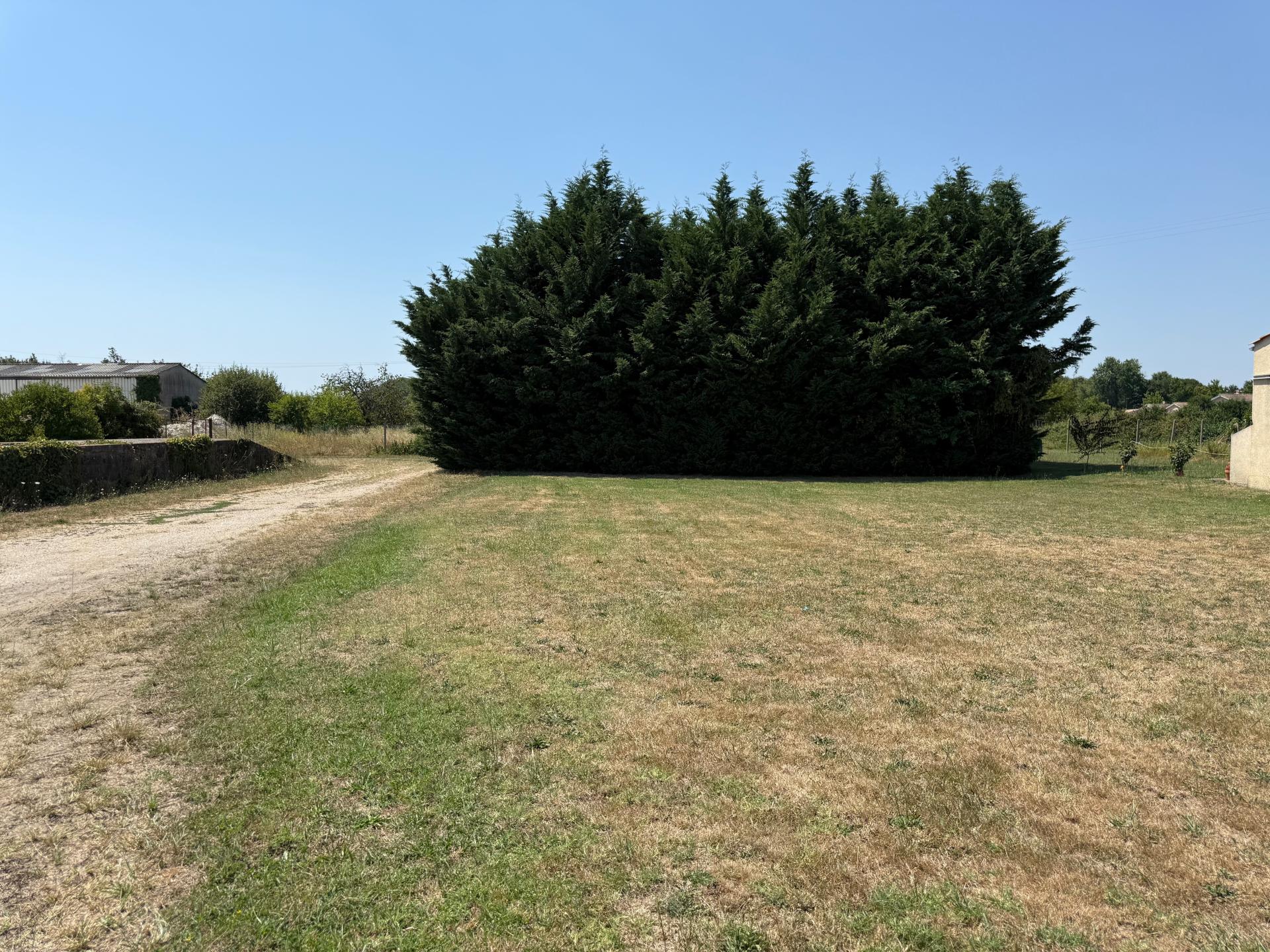 Photo-terrain