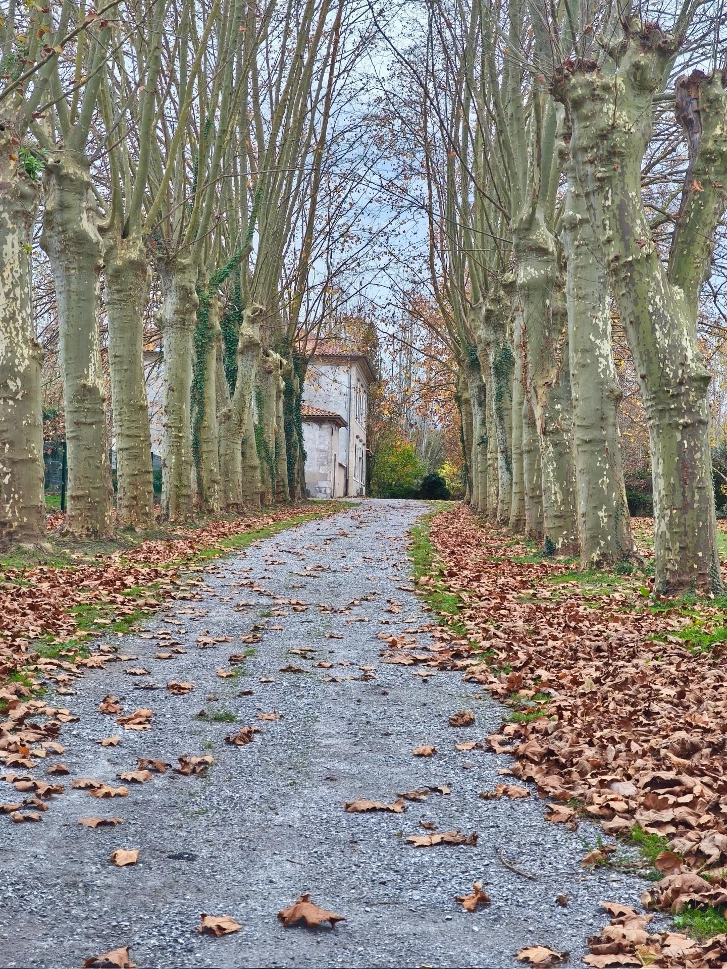 Photo 2 de l'annonce.