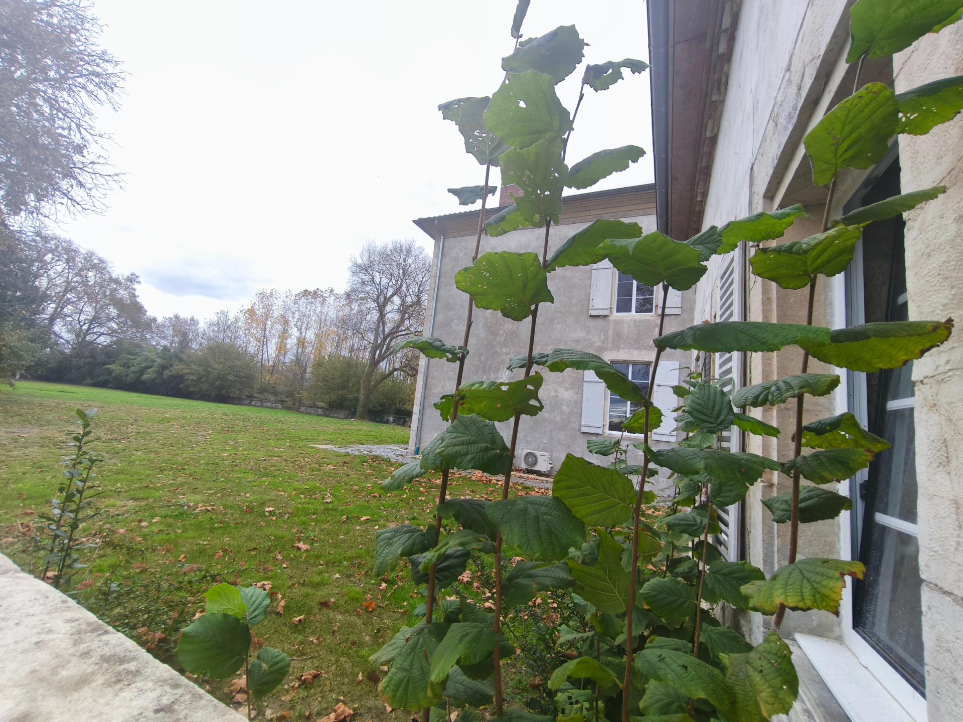 Photo 14 de l'annonce.