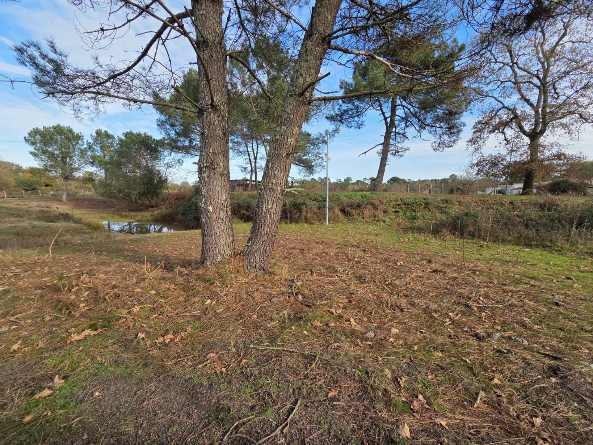 Photo 26 de l'annonce.