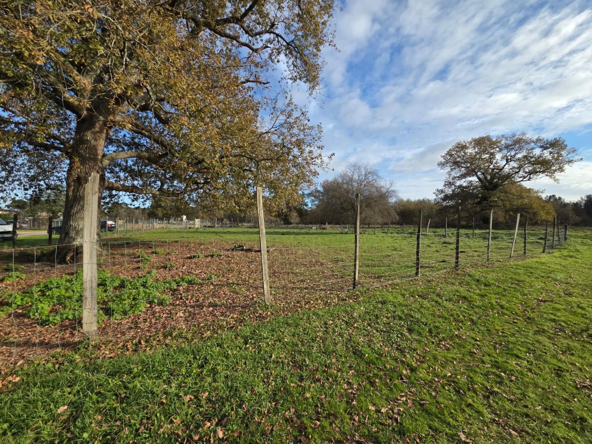 Photo 25 de l'annonce.