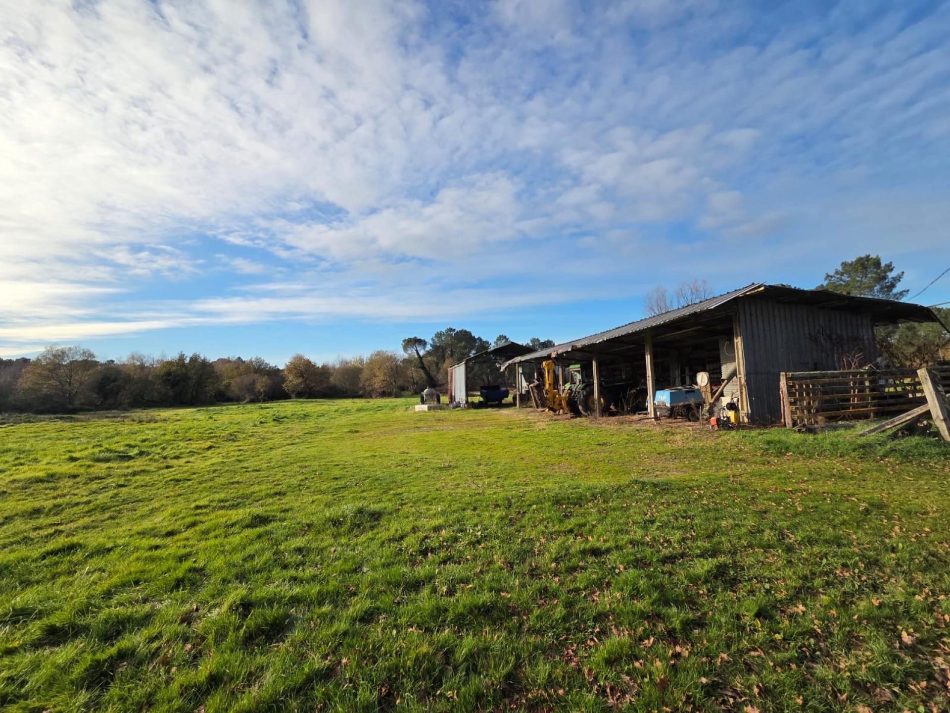 Photo 22 de l'annonce.