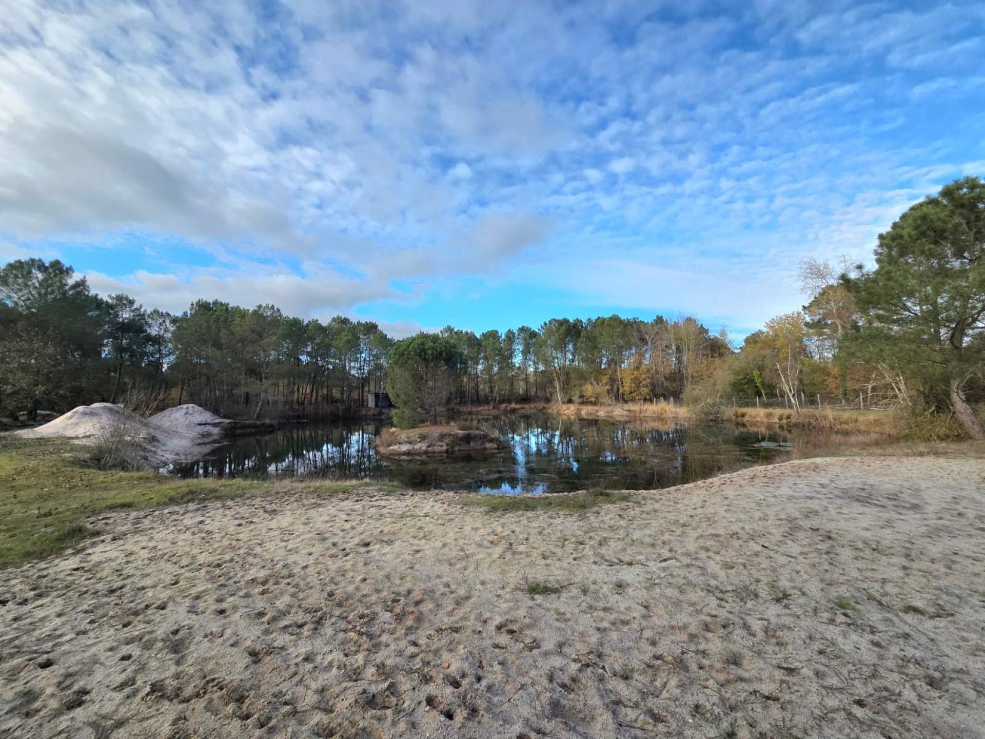 Photo 19 de l'annonce.