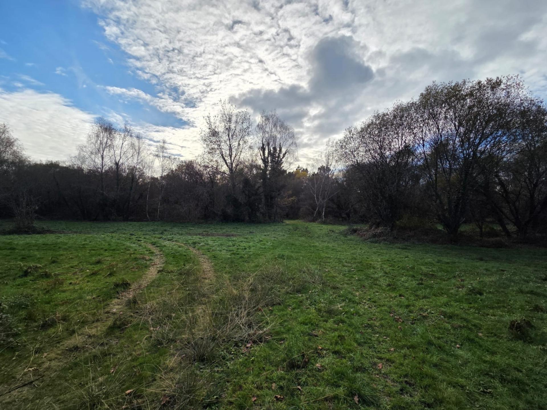 Photo 23 de l'annonce.