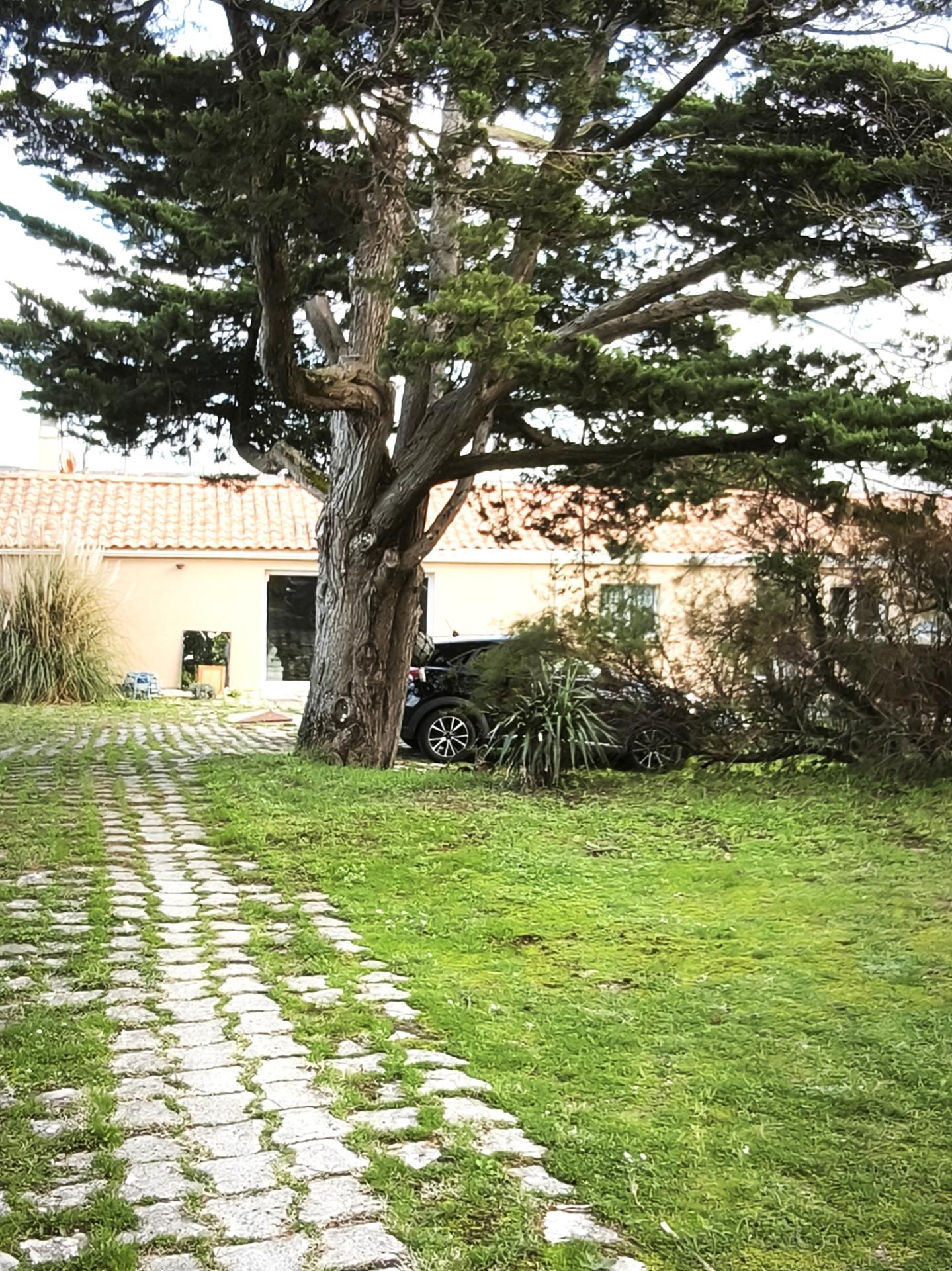 Photo 3 de l'annonce.