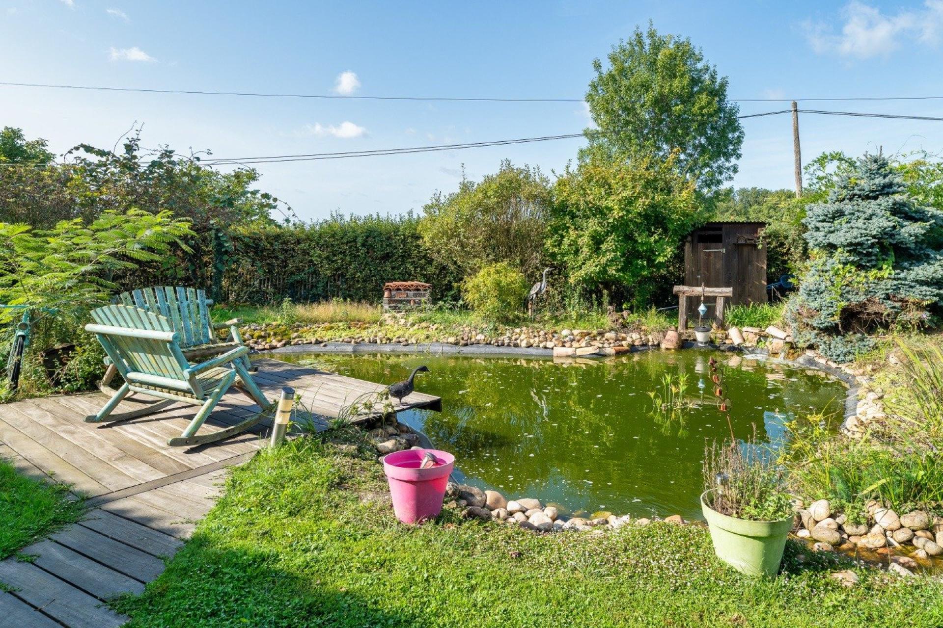 Photo 2 de l'annonce.