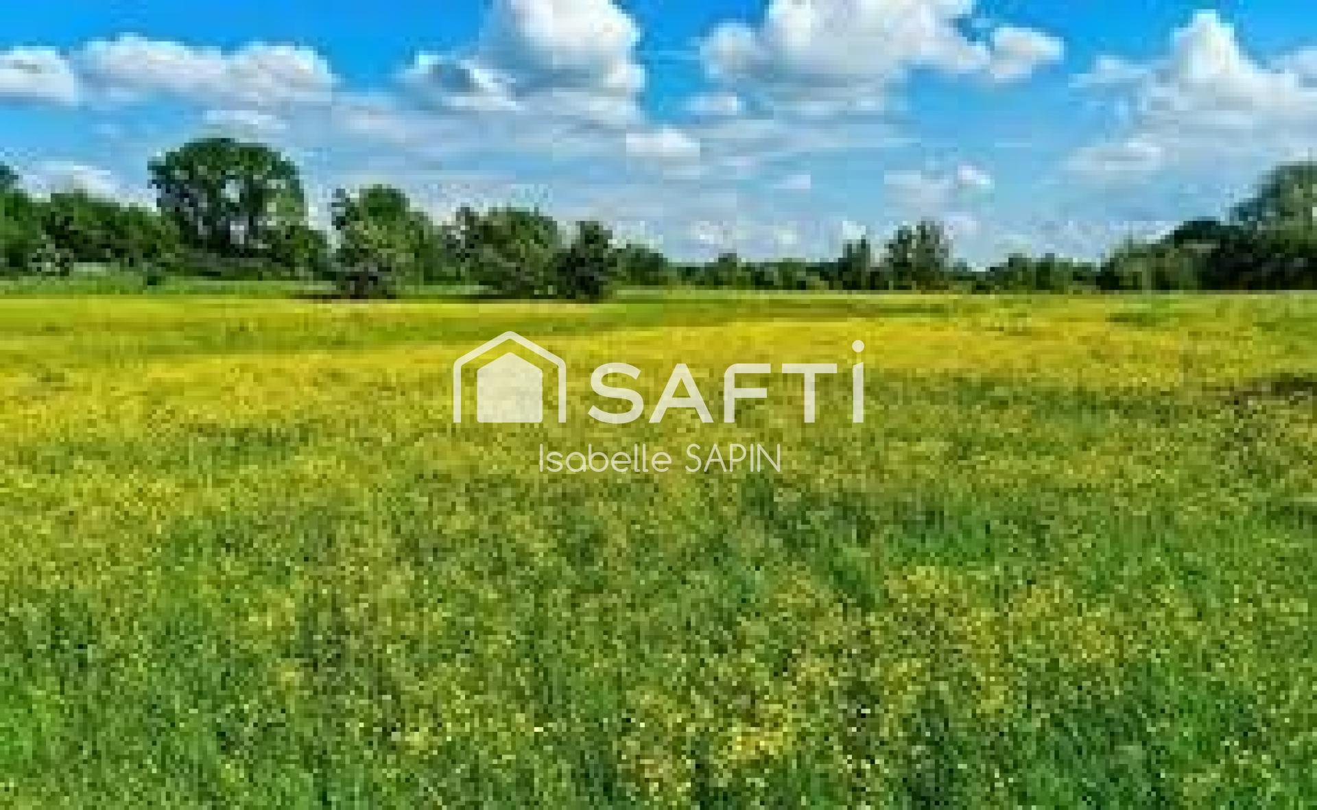 Photo-terrain