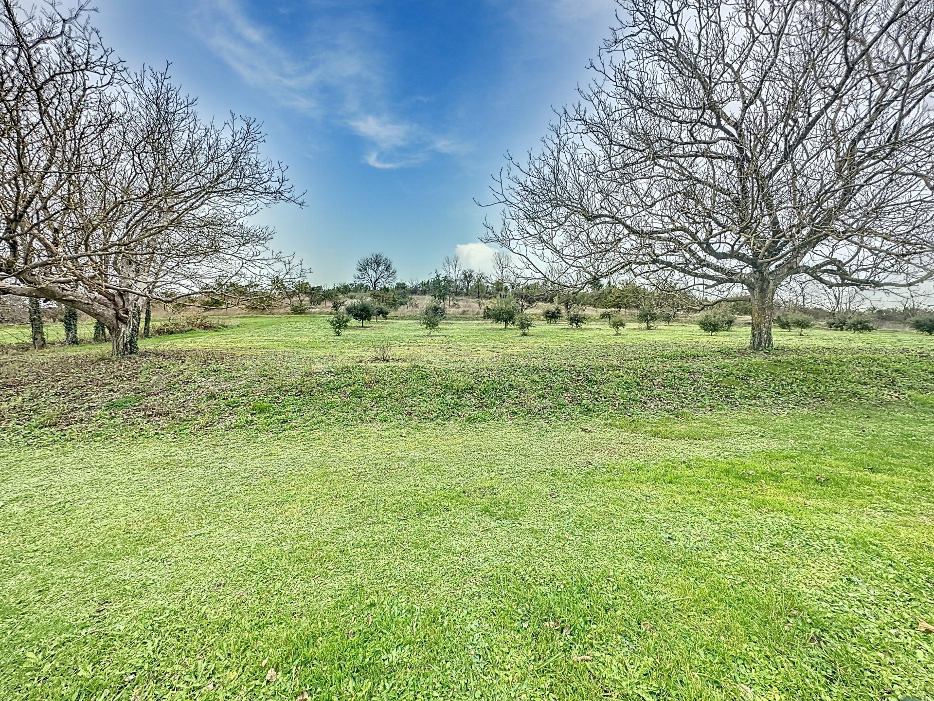 Photo 13 of the listing.