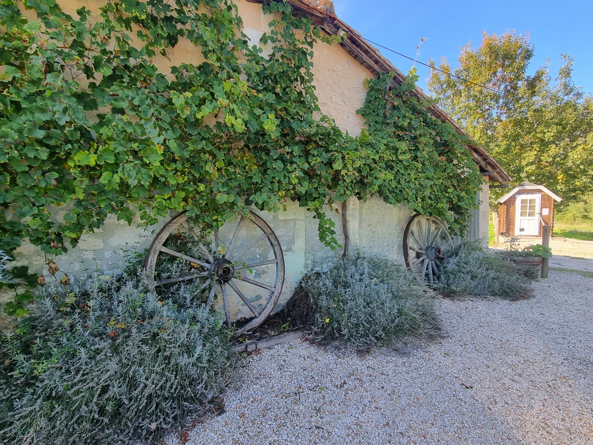 Photo 3 de l'annonce.