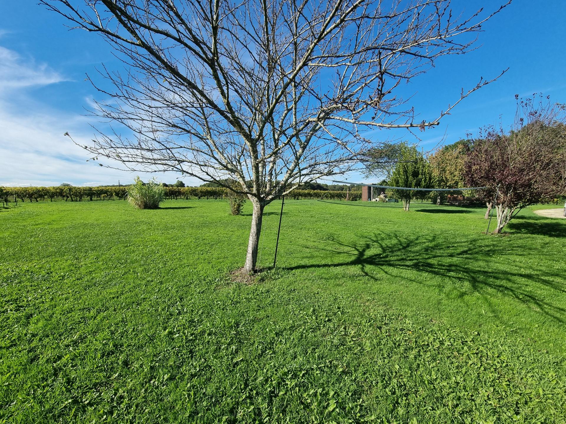 Photo 15 de l'annonce.