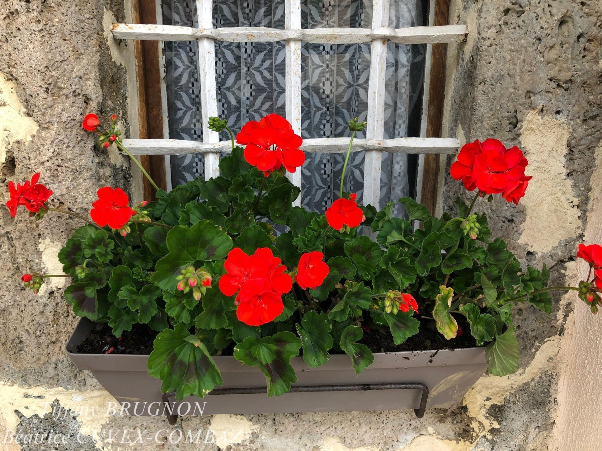 Photo 8 de l'annonce.