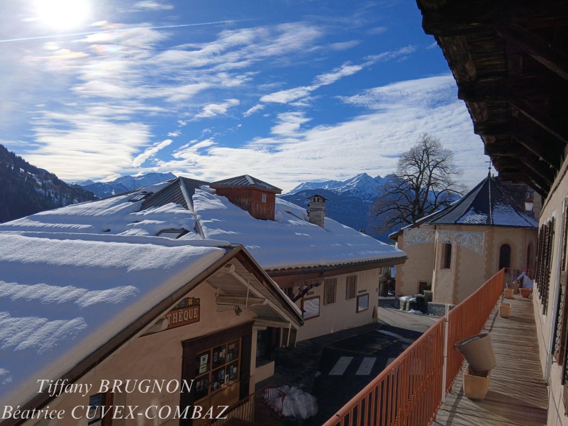 Photo 3 de l'annonce.