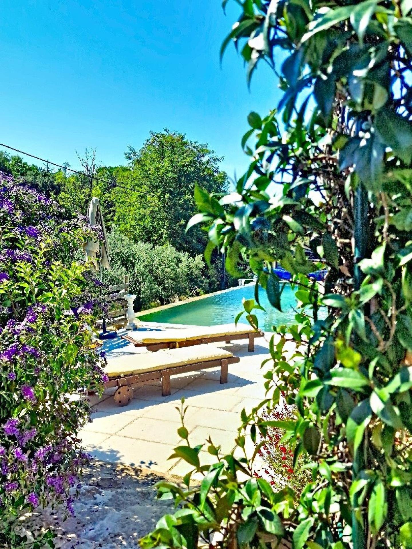 Photo 2 de l'annonce.