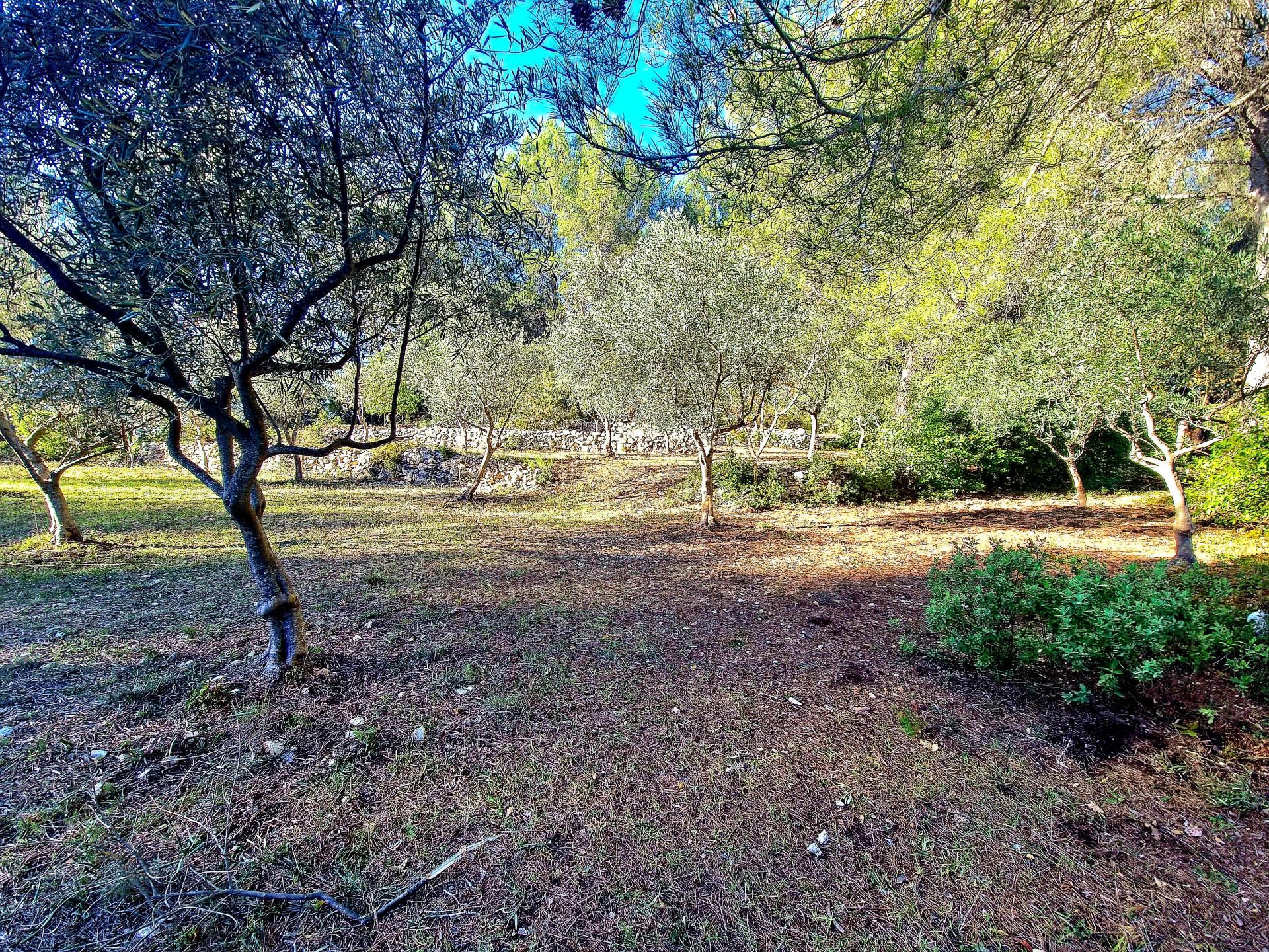 Photo 4 of the listing.