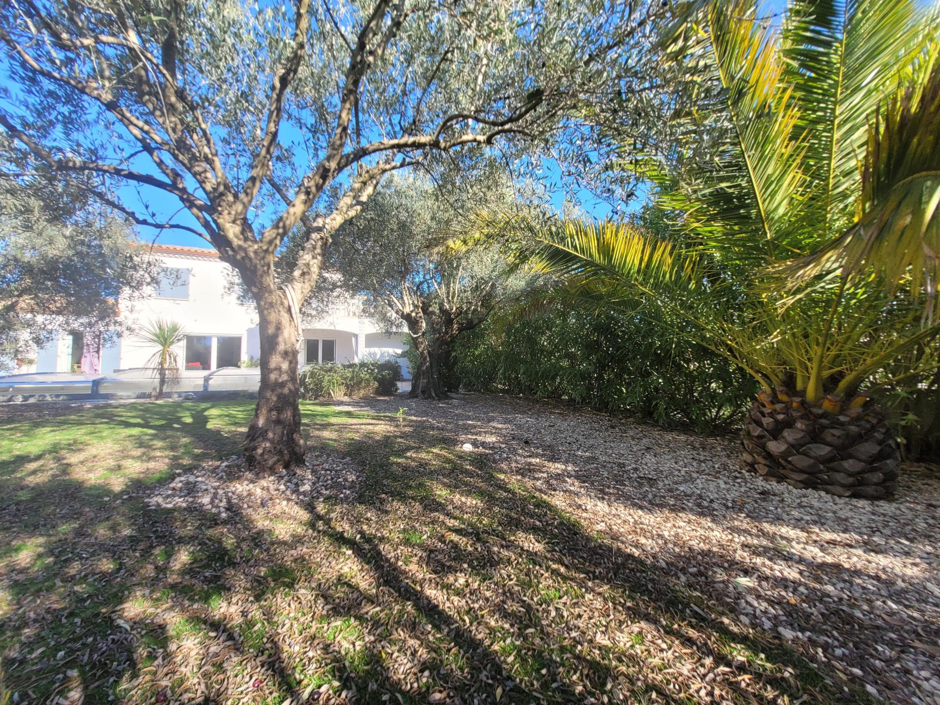 Photo 7 de l'annonce.