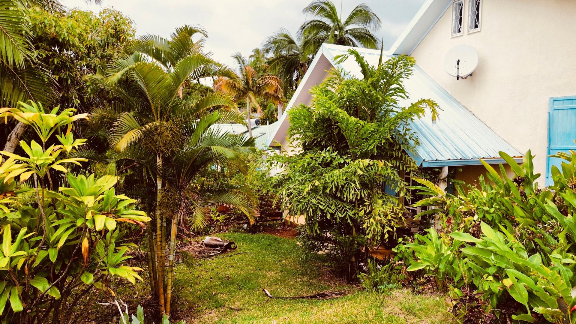 Photo 3 de l'annonce.