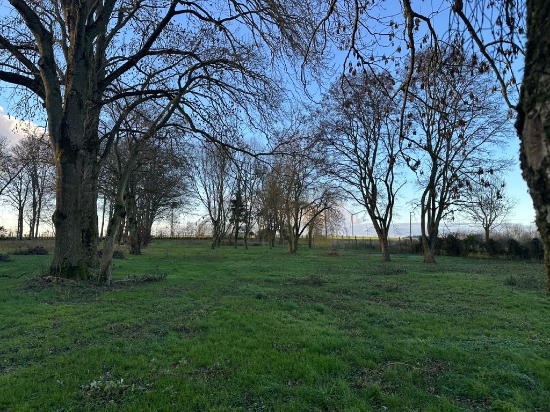 Photo 36 de l'annonce.