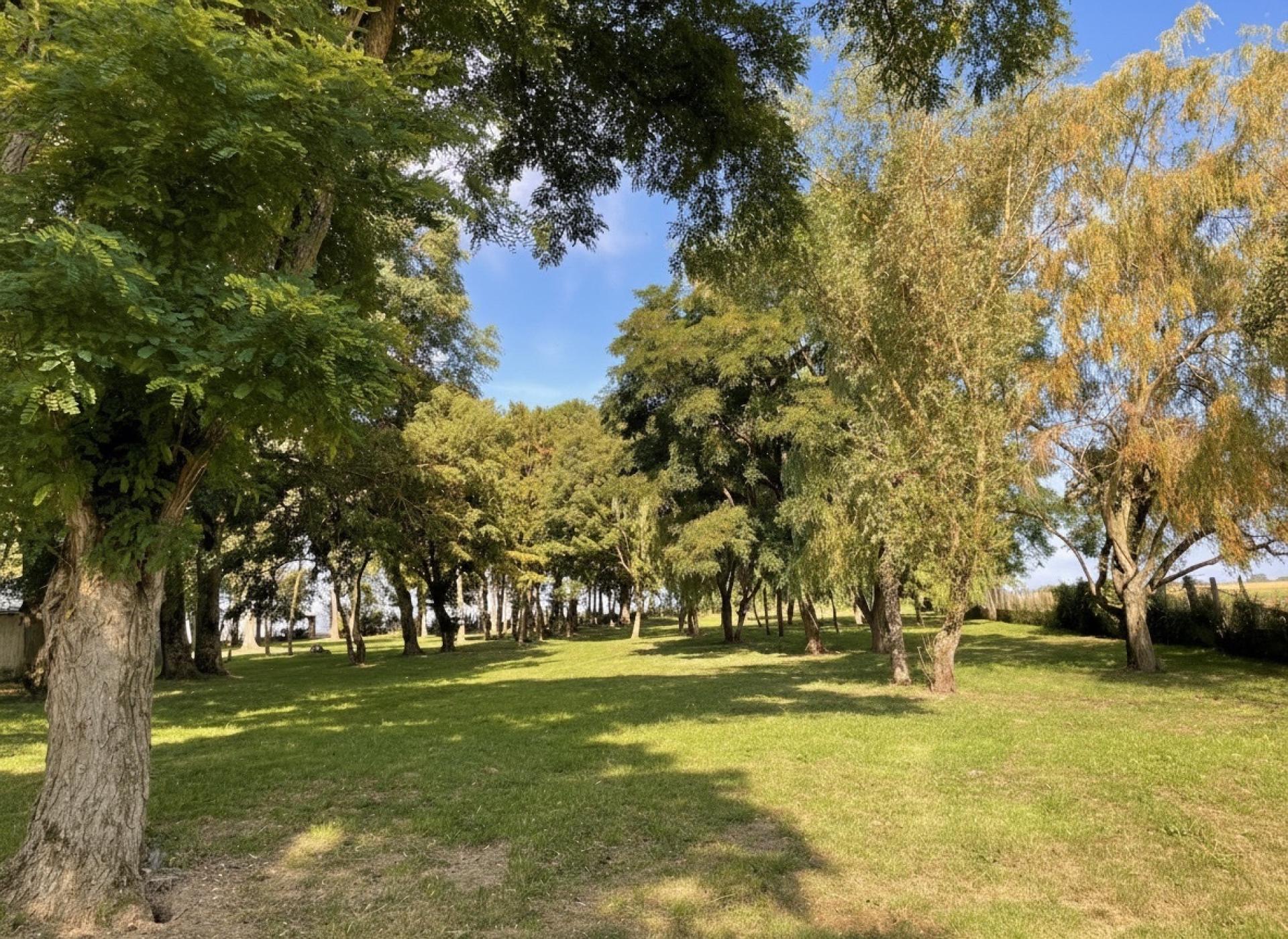 Photo 45 de l'annonce.