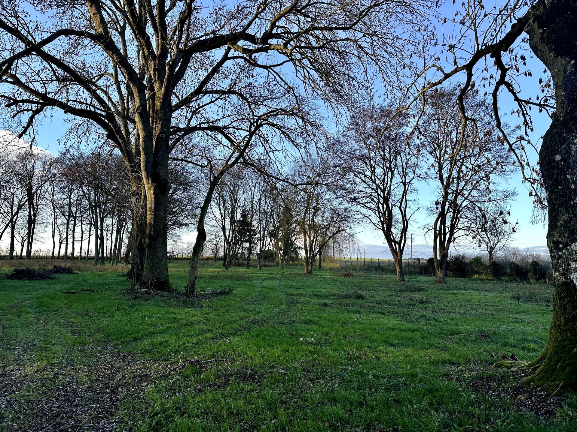 Photo 43 de l'annonce.