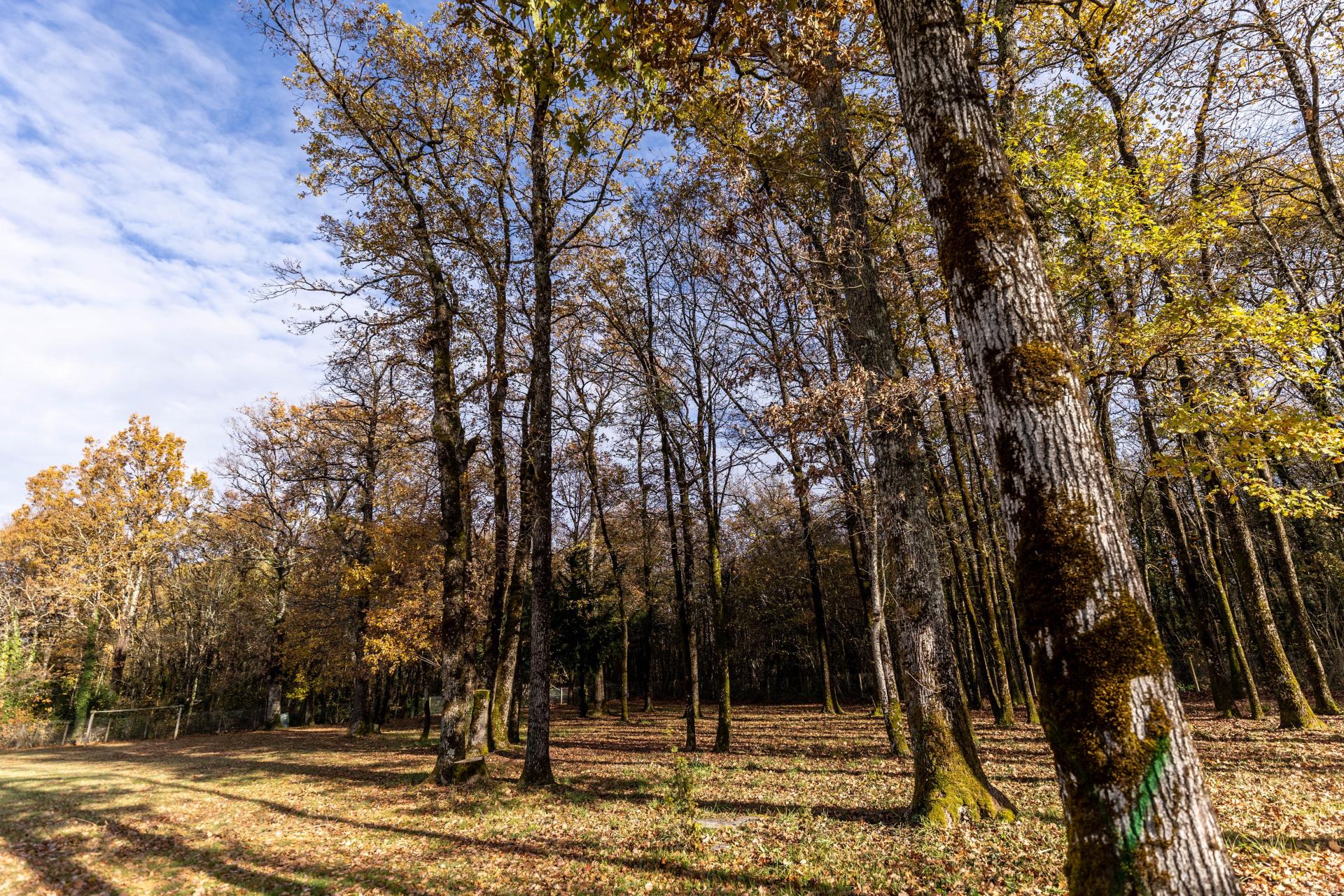 Photo 14 de l'annonce.