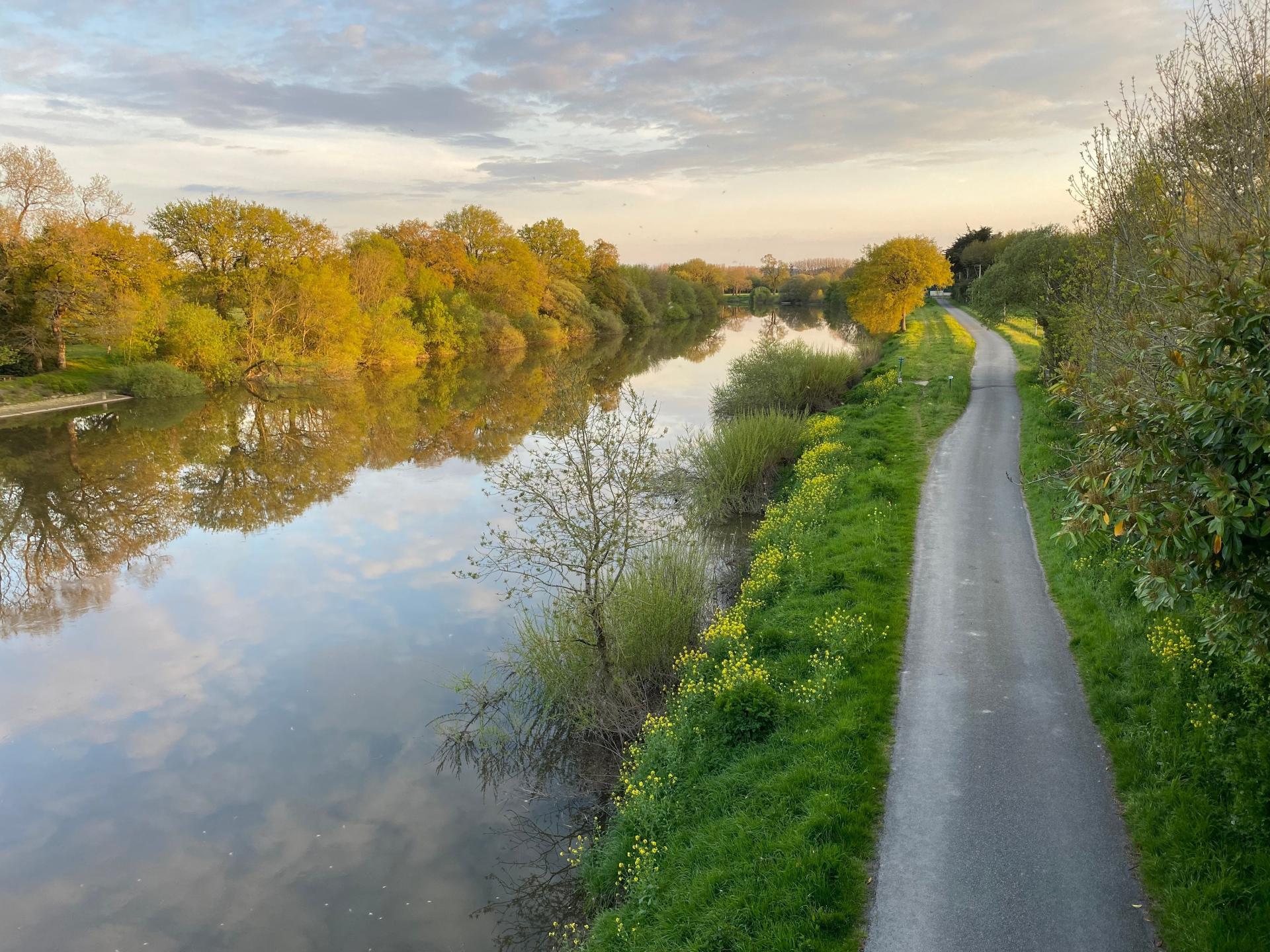 Photo 19 de l'annonce.