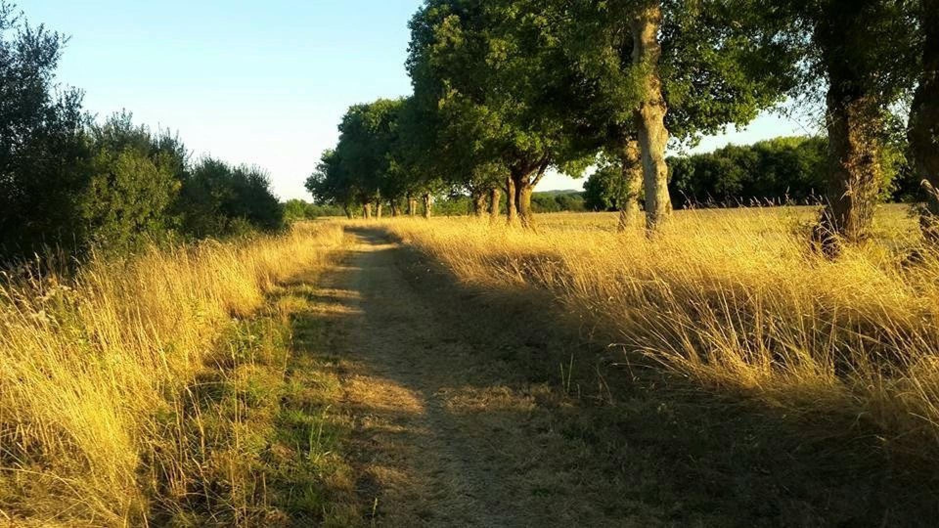 Photo 20 de l'annonce.