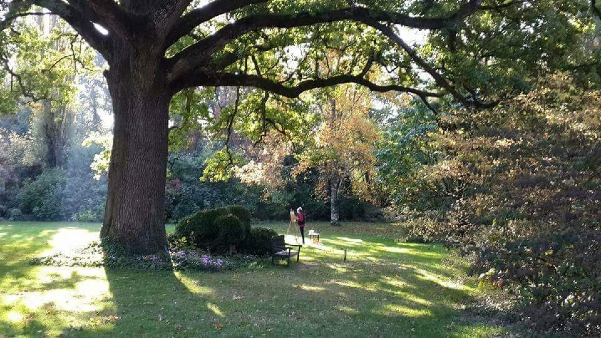 Photo 18 de l'annonce.