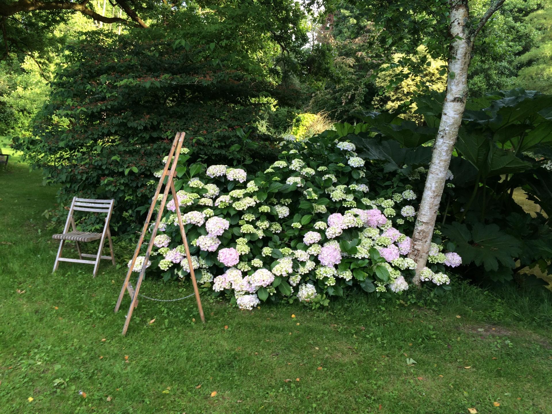 Photo 8 de l'annonce.