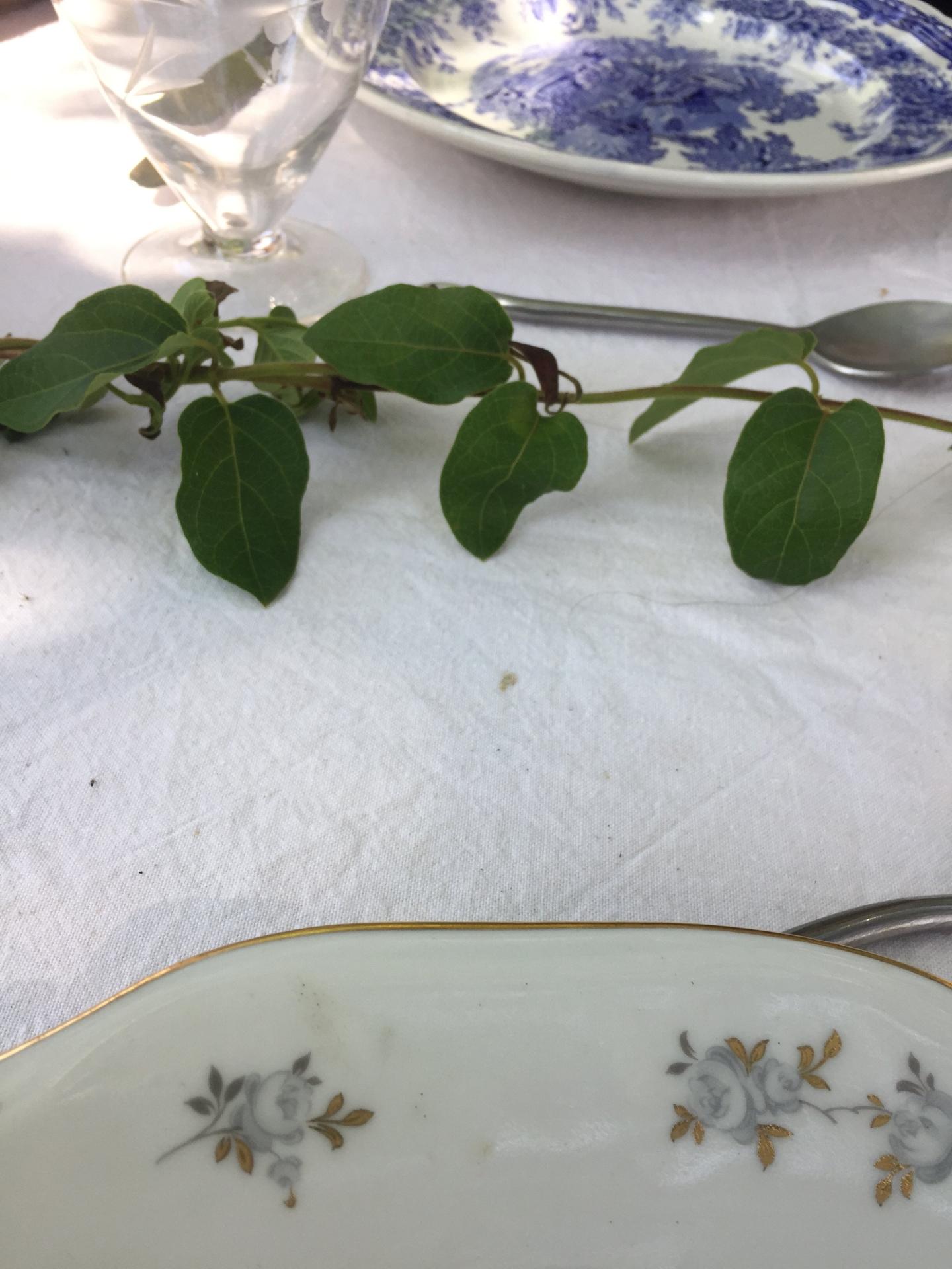 Photo 9 de l'annonce.