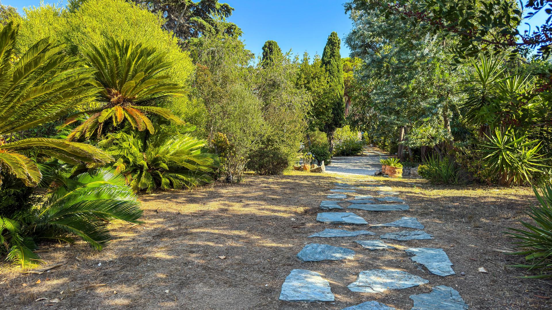 Photo 12 de l'annonce.