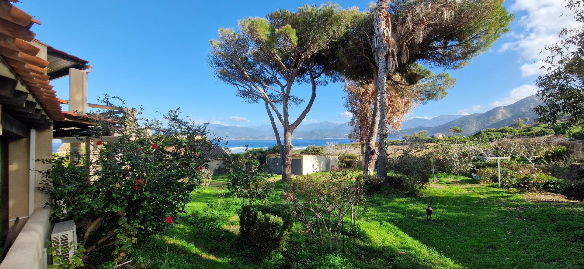 Photo 5 de l'annonce.