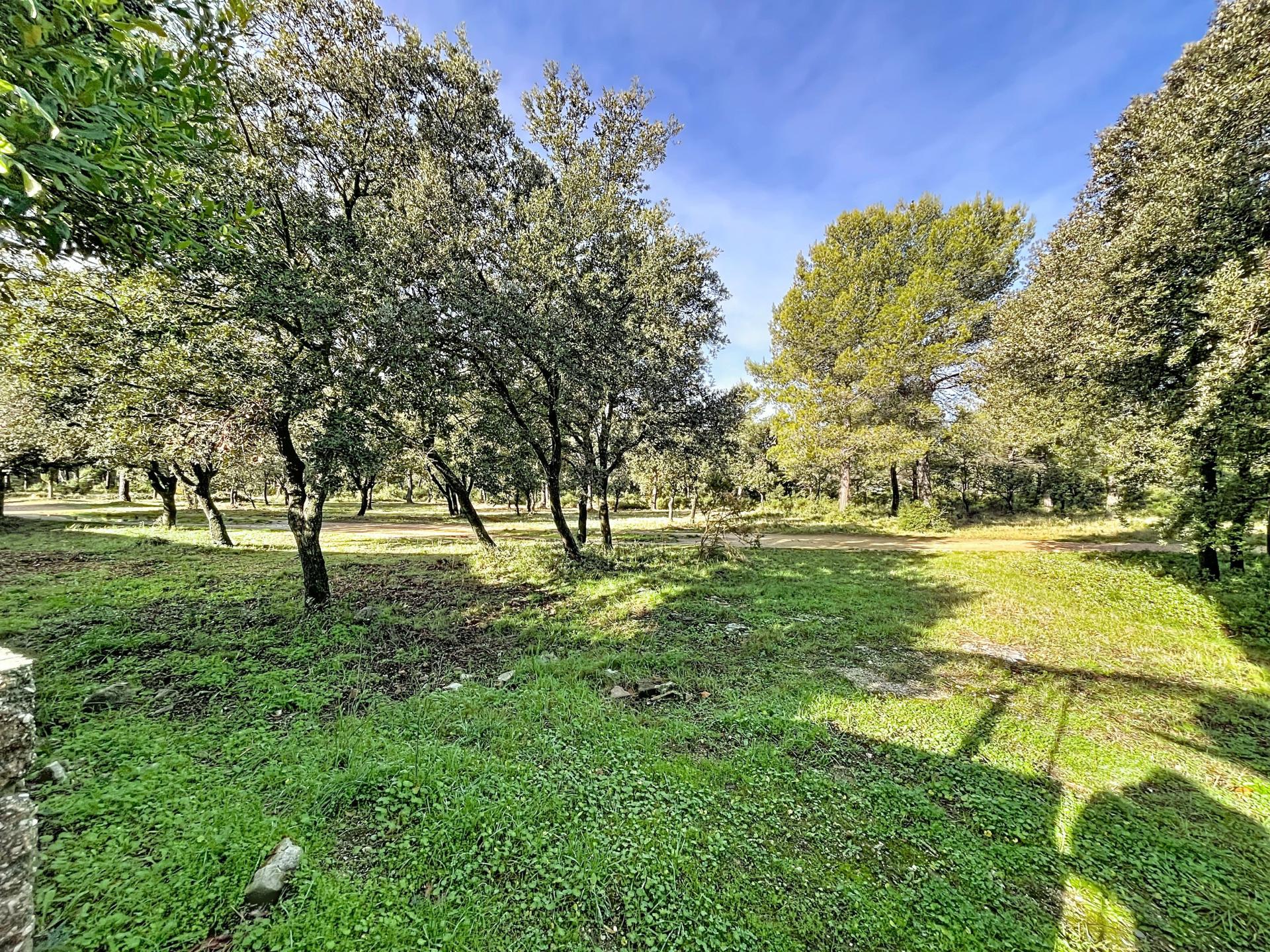 Photo 9 de l'annonce.