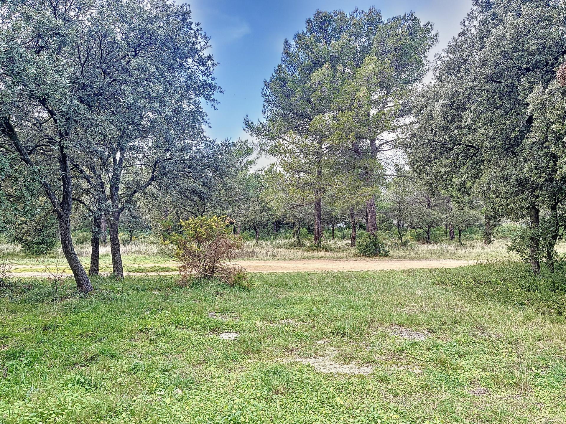 Photo 17 de l'annonce.