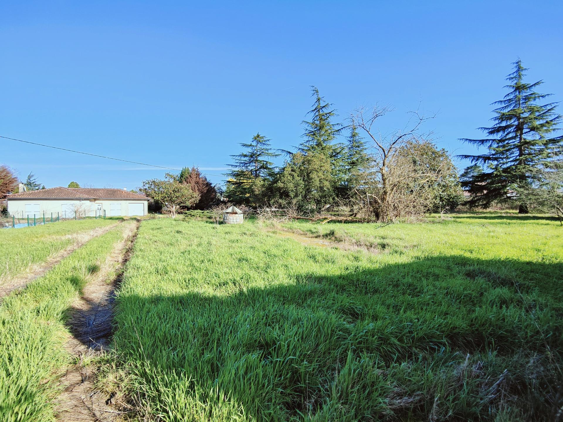 Photo 2 de l'annonce.