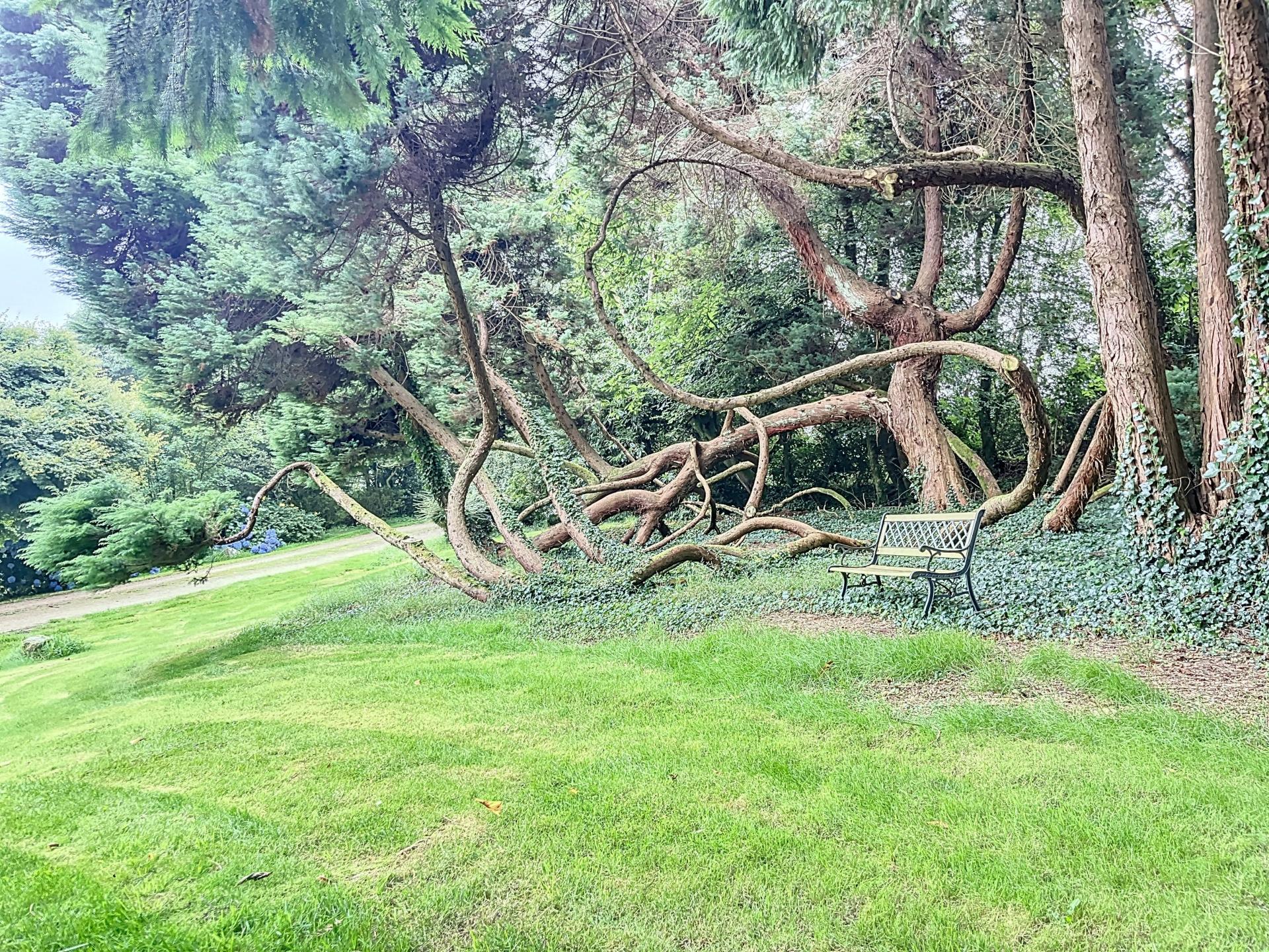 Photo 6 de l'annonce.