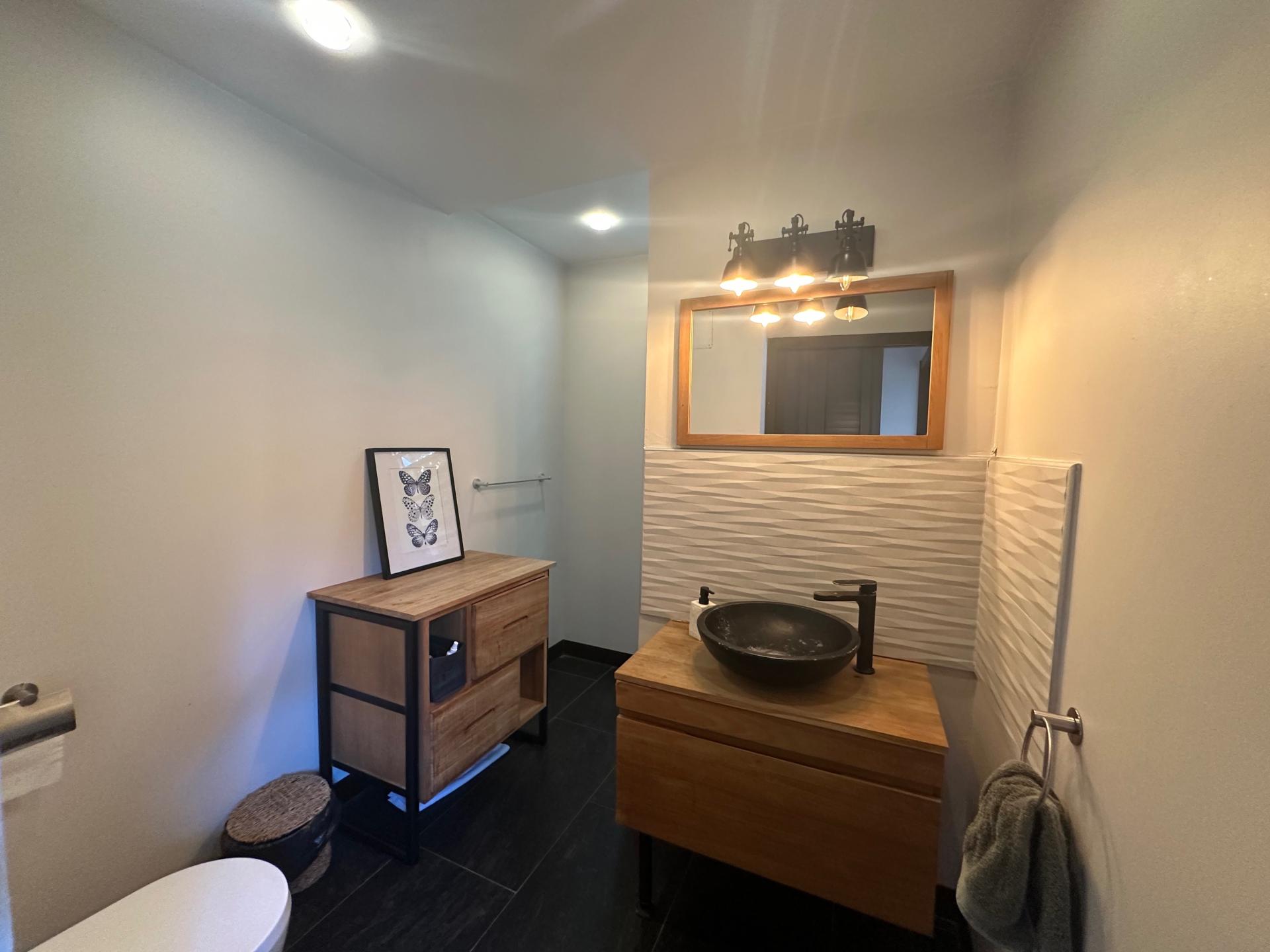 Photo 17 de l'annonce.