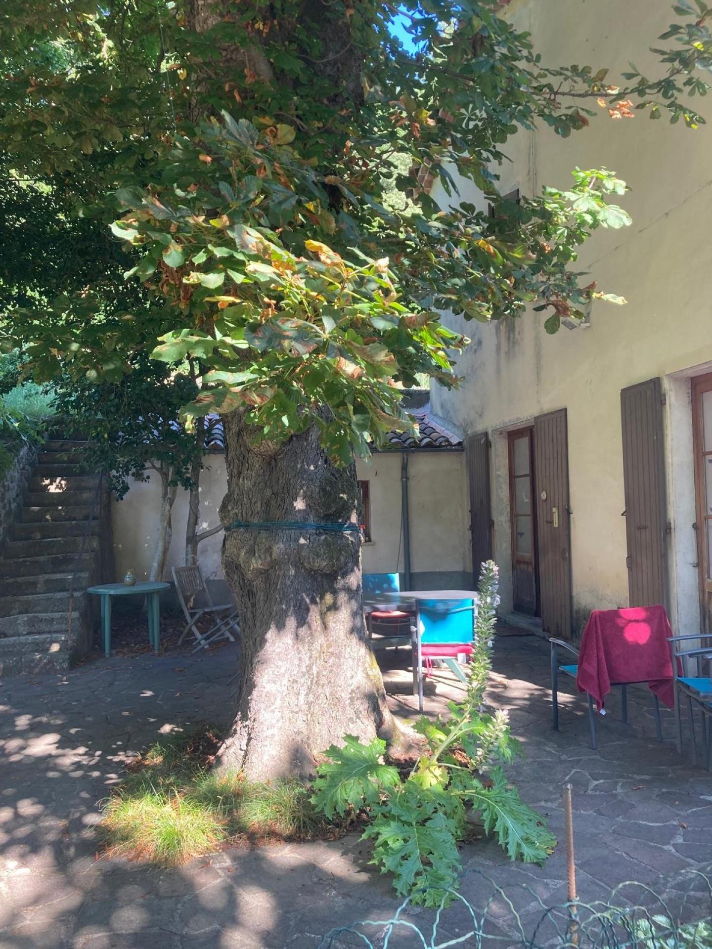 Photo 4 de l'annonce.