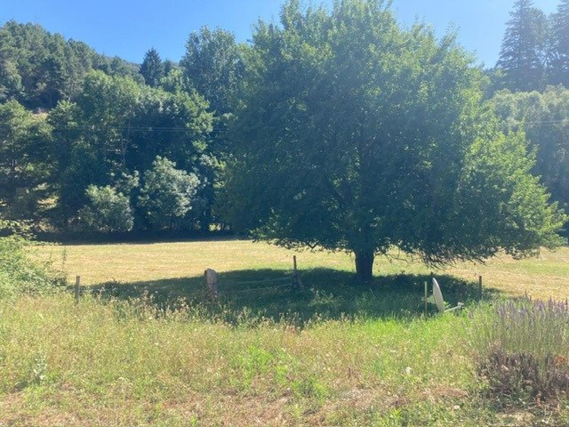 Photo 11 de l'annonce.