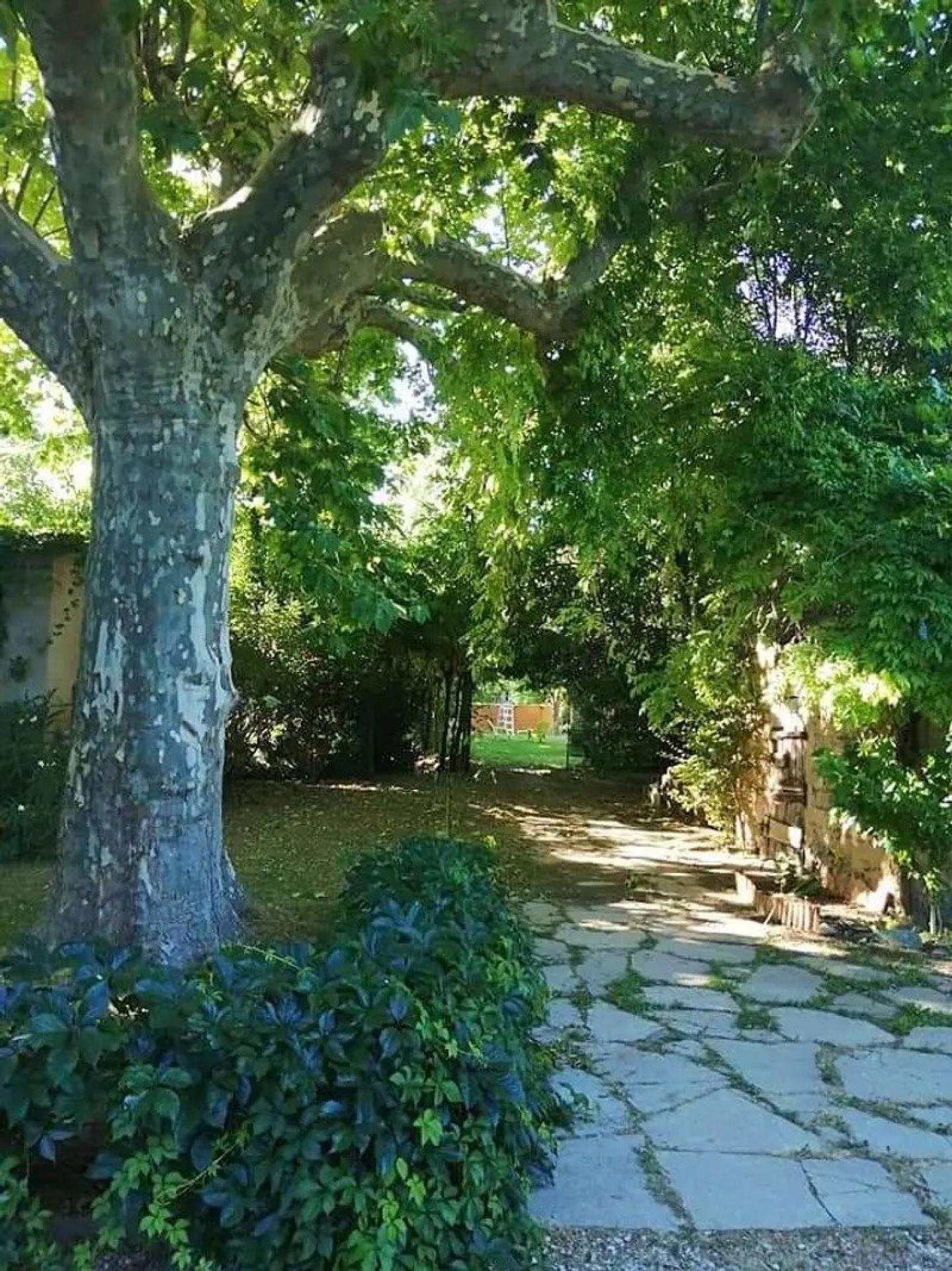 Photo 5 de l'annonce.